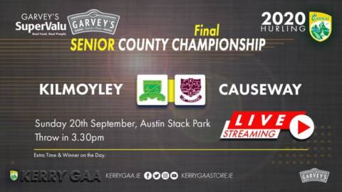 Garvey’s SuperValu Senior Hurling Championship