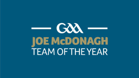 Fionán Mackessy named on 2023 Joe McDonagh Team of the Year